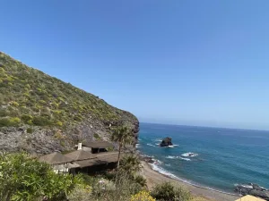 Whats App Image 2022 05 16 at 4 29 02 PM