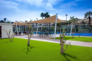 276174928 147206907777563 3681928838630496129 n