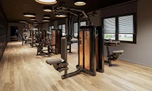 273380235 137527532078834 274510297758047346 n