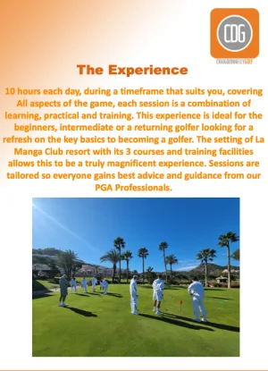 Screenshot 2026 04 17 at 11 22 25