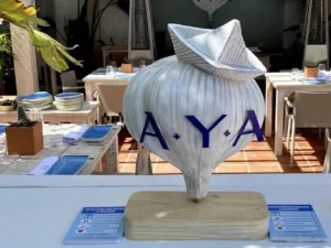 Ajo Y Agua by David Lopez