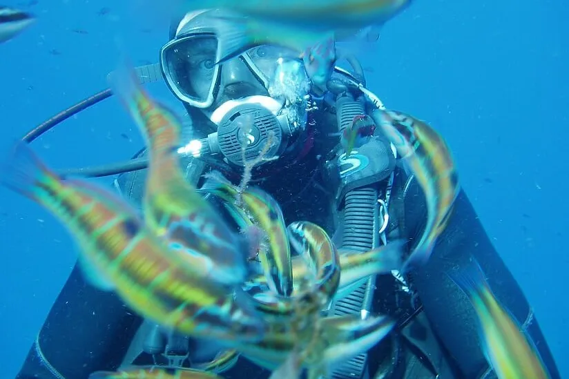 Neil and wrasse mtime20190417112818
