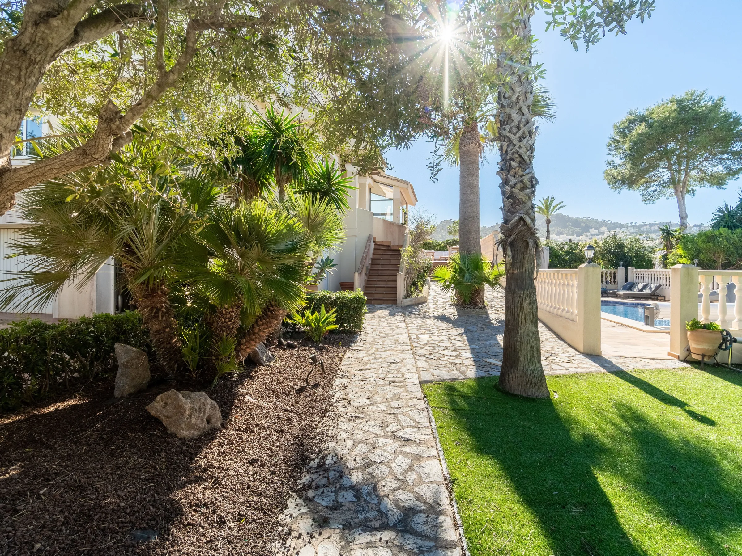 ALB10 garden b