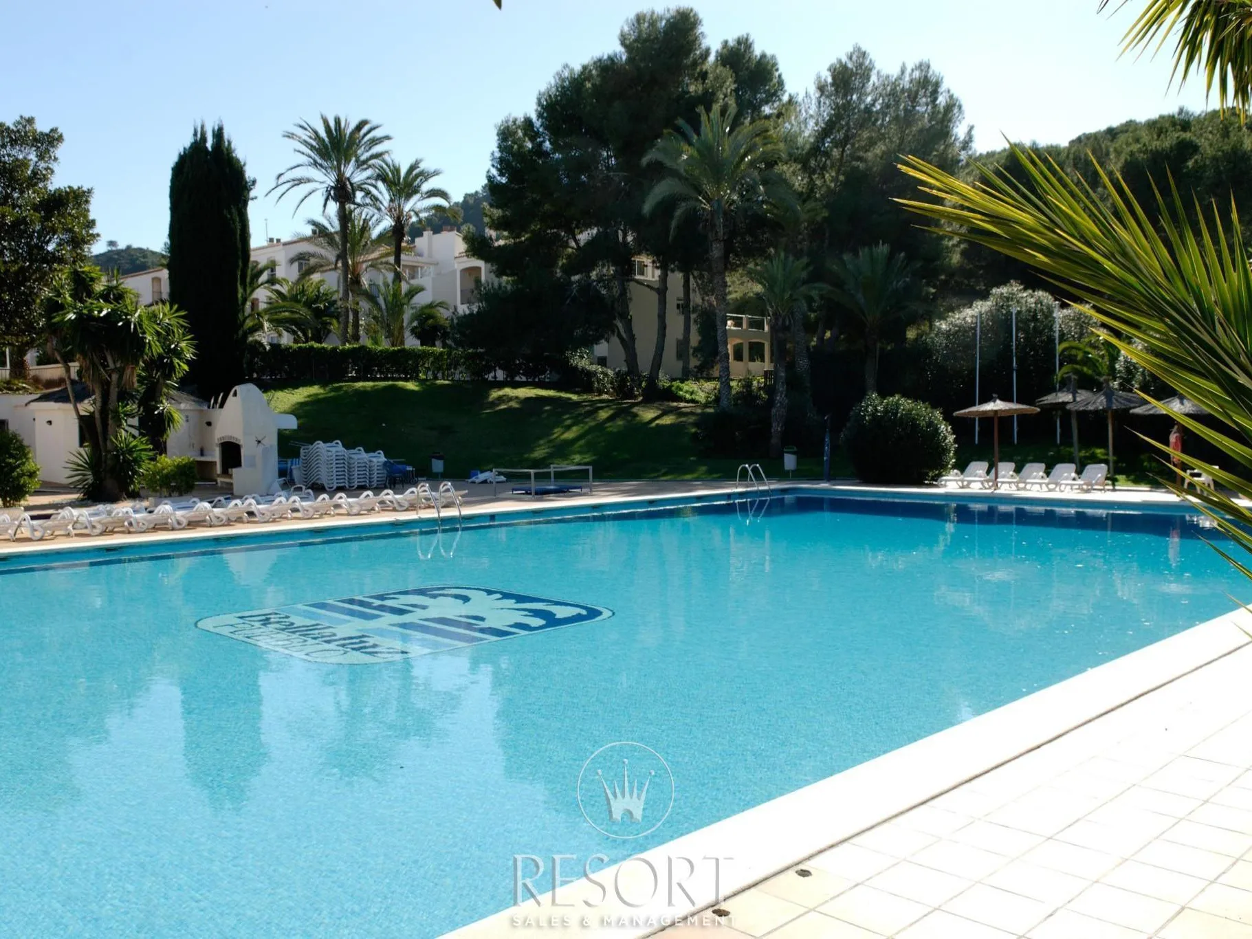 Bellaluz 13 02 for sale 69f4c311d823a