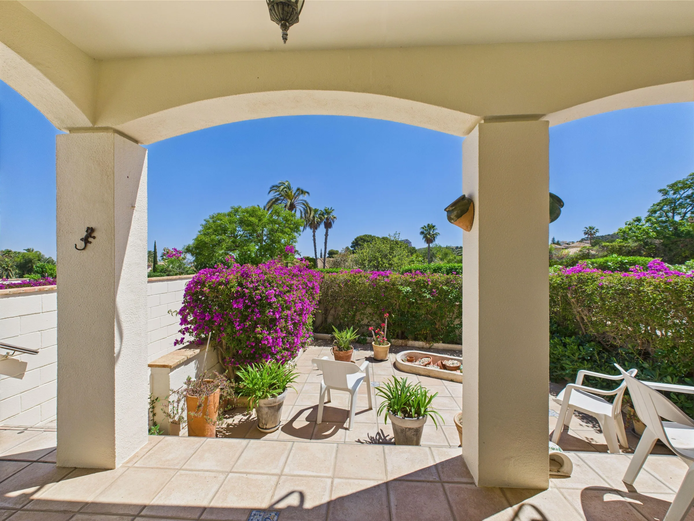 BLV7 Lower terrace a