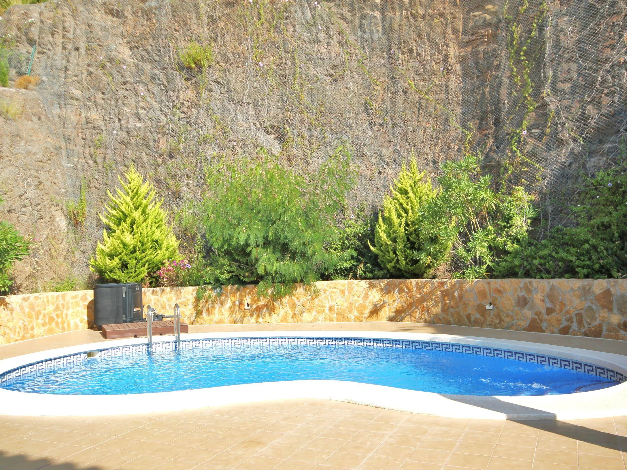 Buena Vista Villa 1 Private Swimmin Pool 2 resize mtime20210210154525