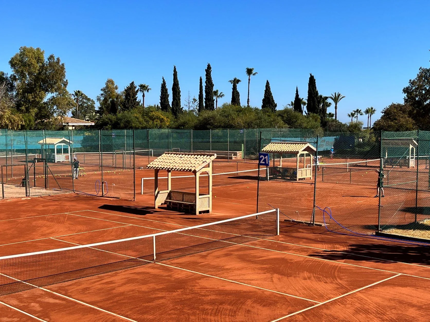 Resizedtennis mtime20220308150706