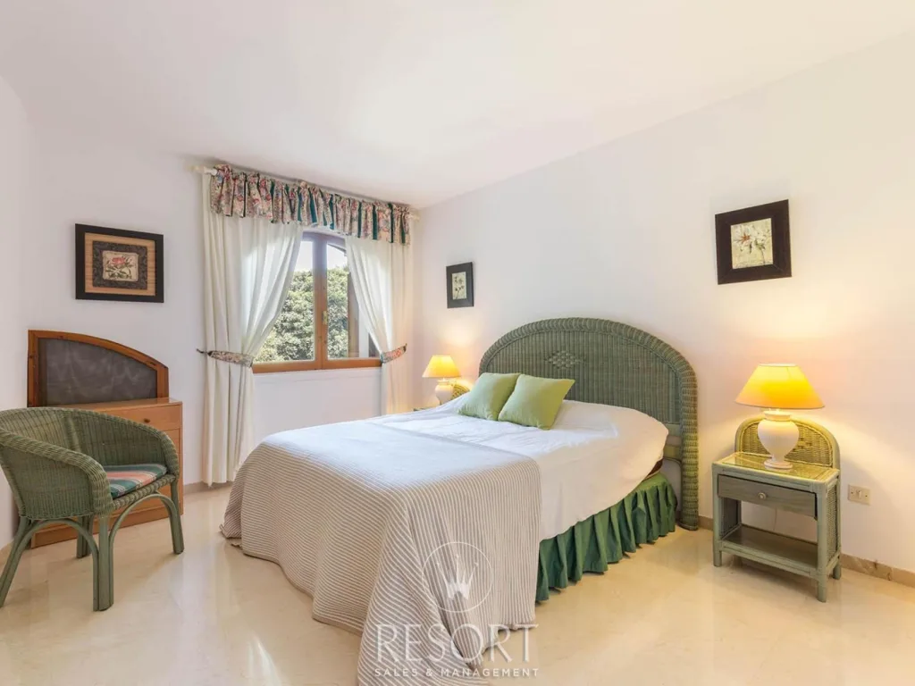 Las palmeras 20 for sale 632afd4dc03ab