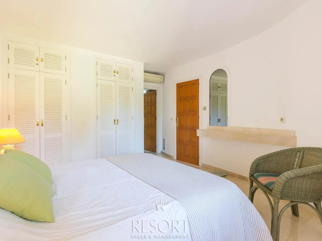 Las palmeras 20 for sale 632afd4e55788