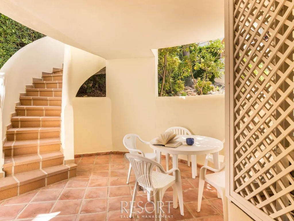 Las palmeras 20 for sale 632afd635fdac