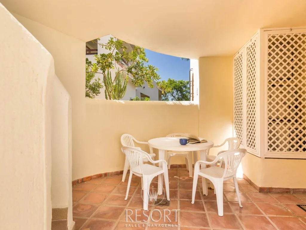 Las palmeras 20 for sale 632afd63ed631