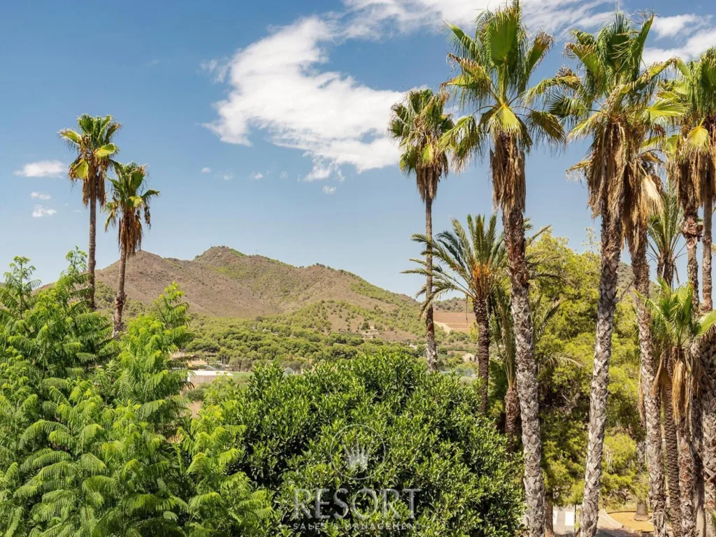 Las palmeras 22 for sale 68ba8c531d9aa