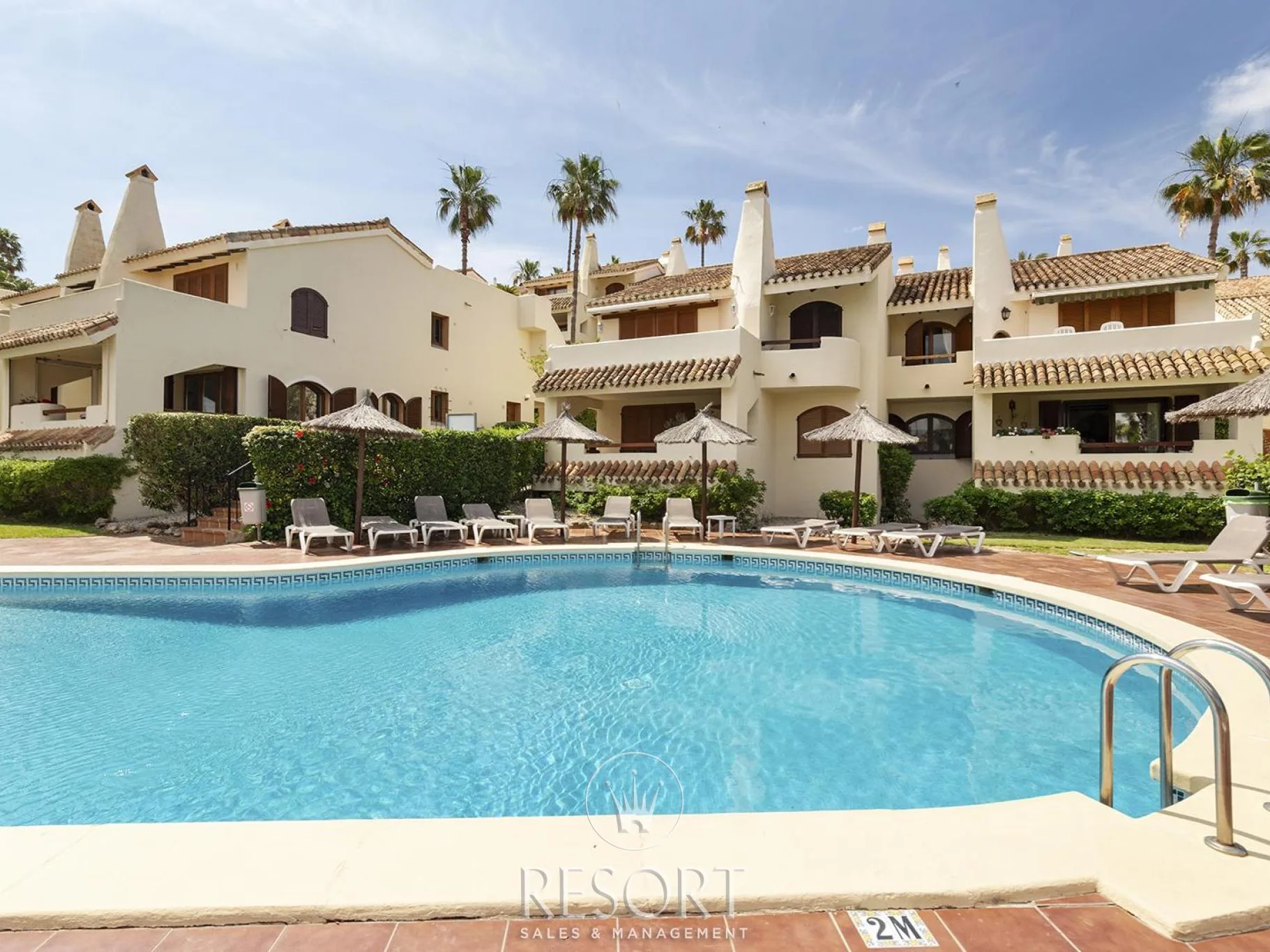 Las palmeras 24 for sale 684009c26b79d