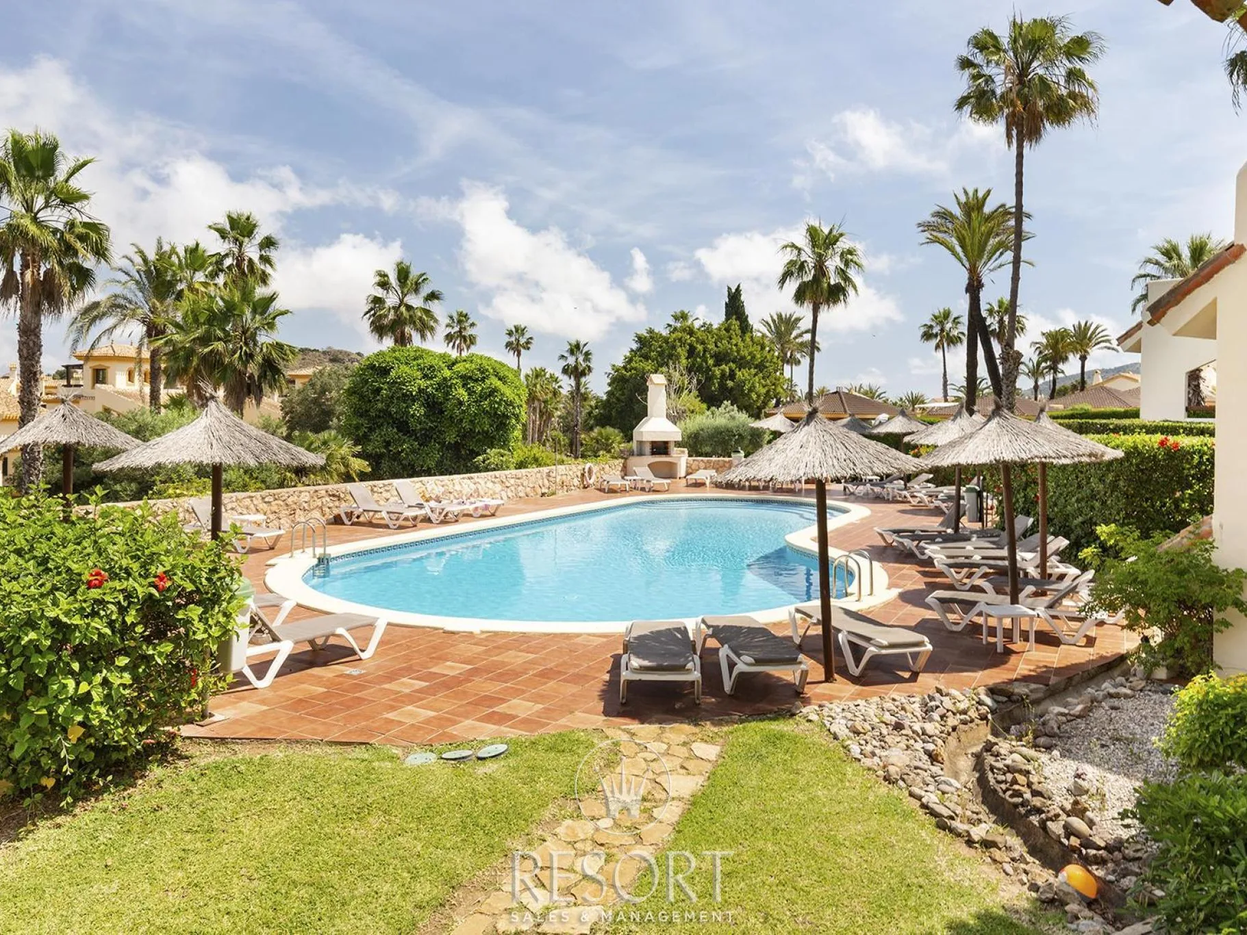 Las palmeras 24 for sale 684009c67d4d3