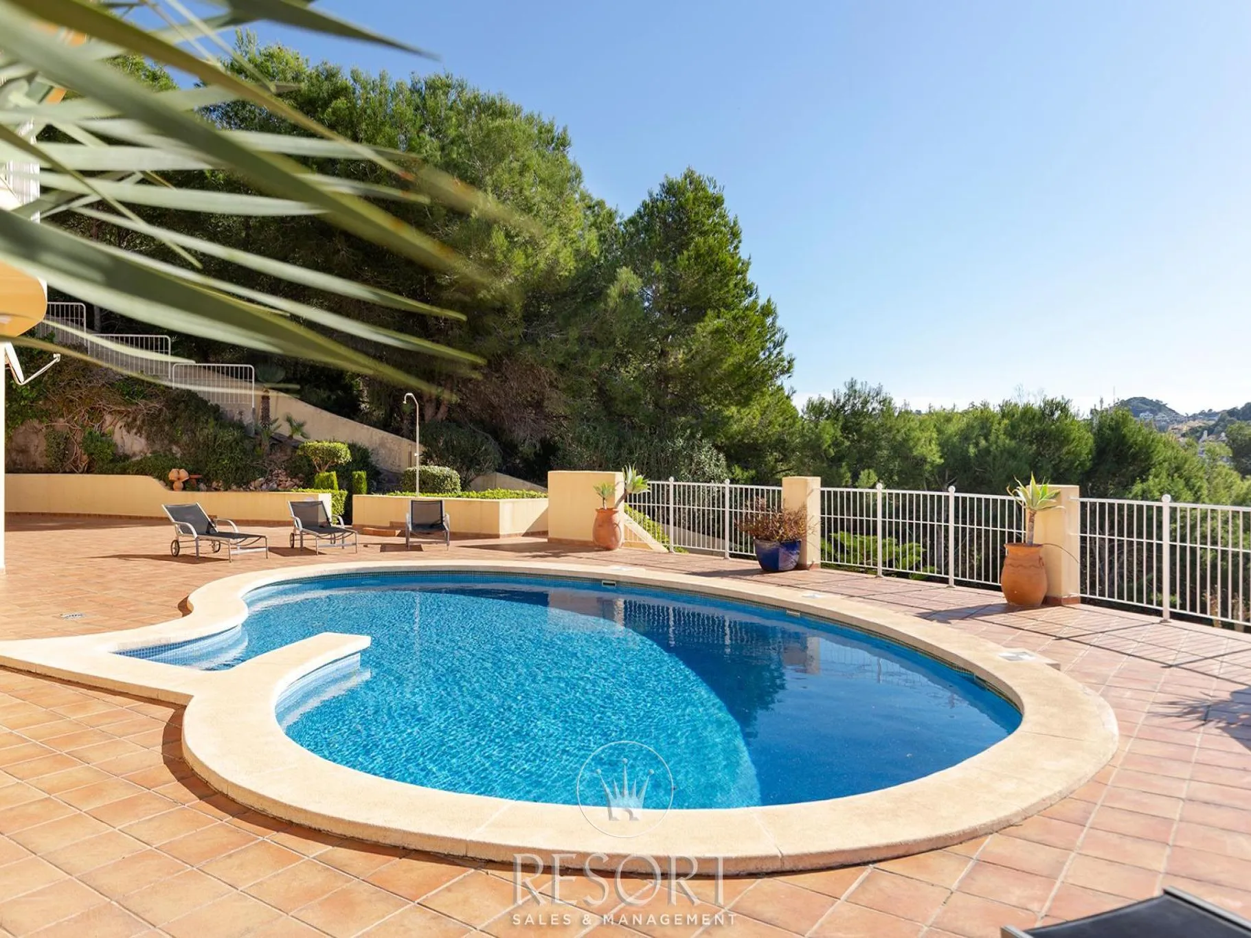 Monte claro 29 for sale 693a7c3759332