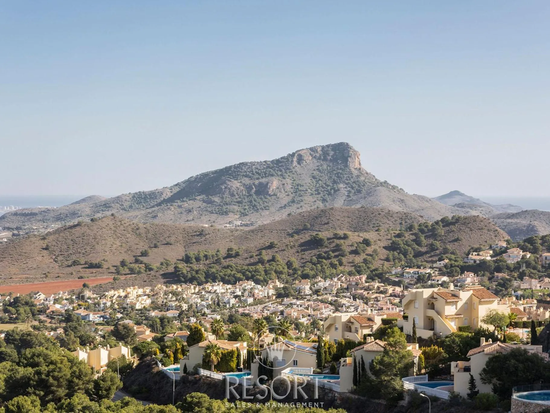 Monte leon 7 for sale 65c612b0a31c9