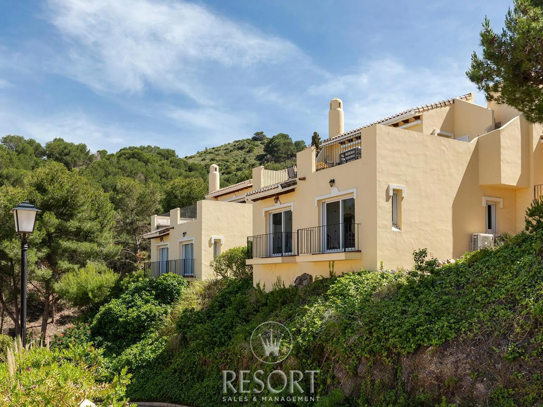 Monte verde 8 for sale 6aa9151296bed