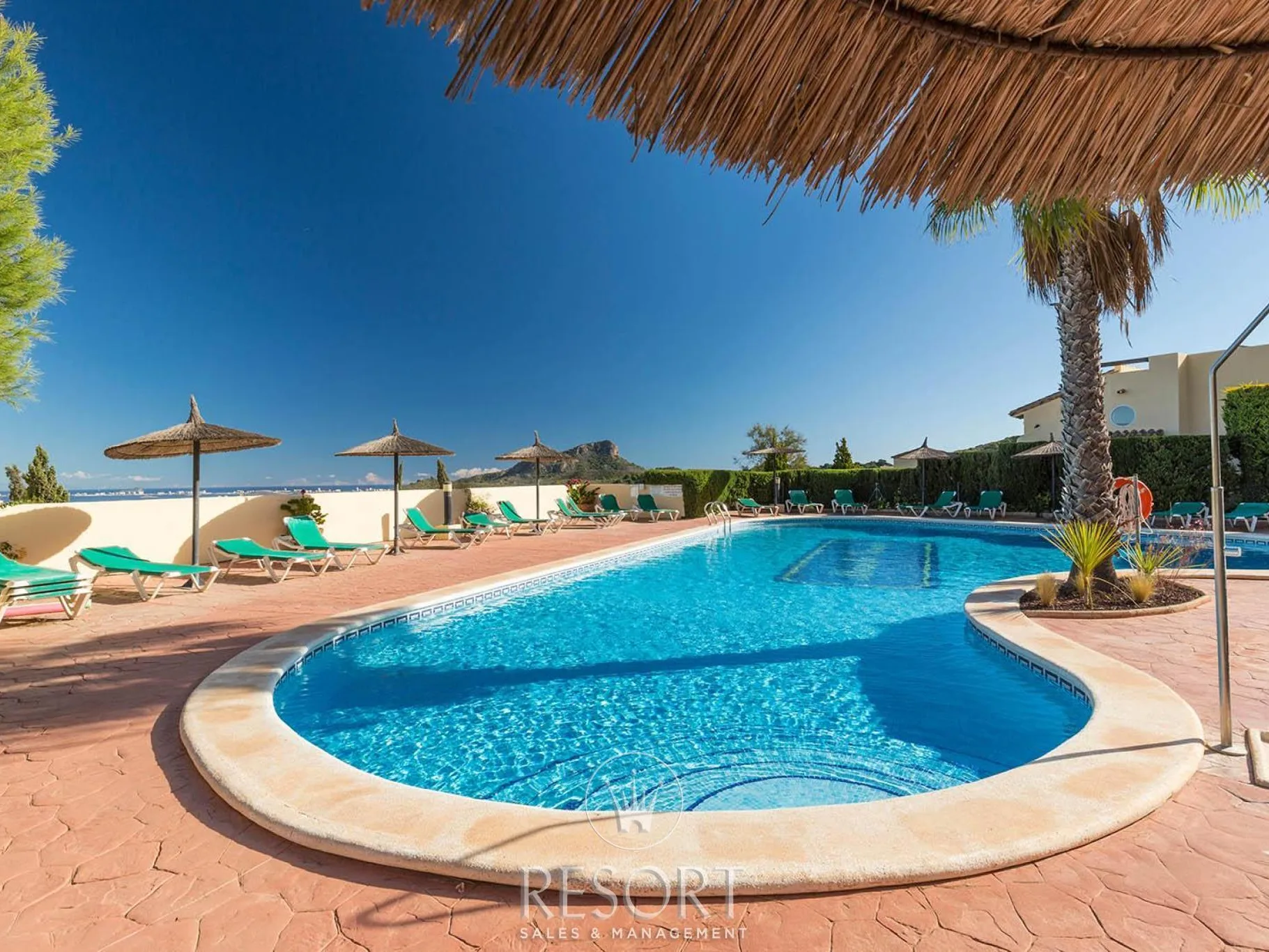 Monte verde 8 for sale 6aa915653f24c