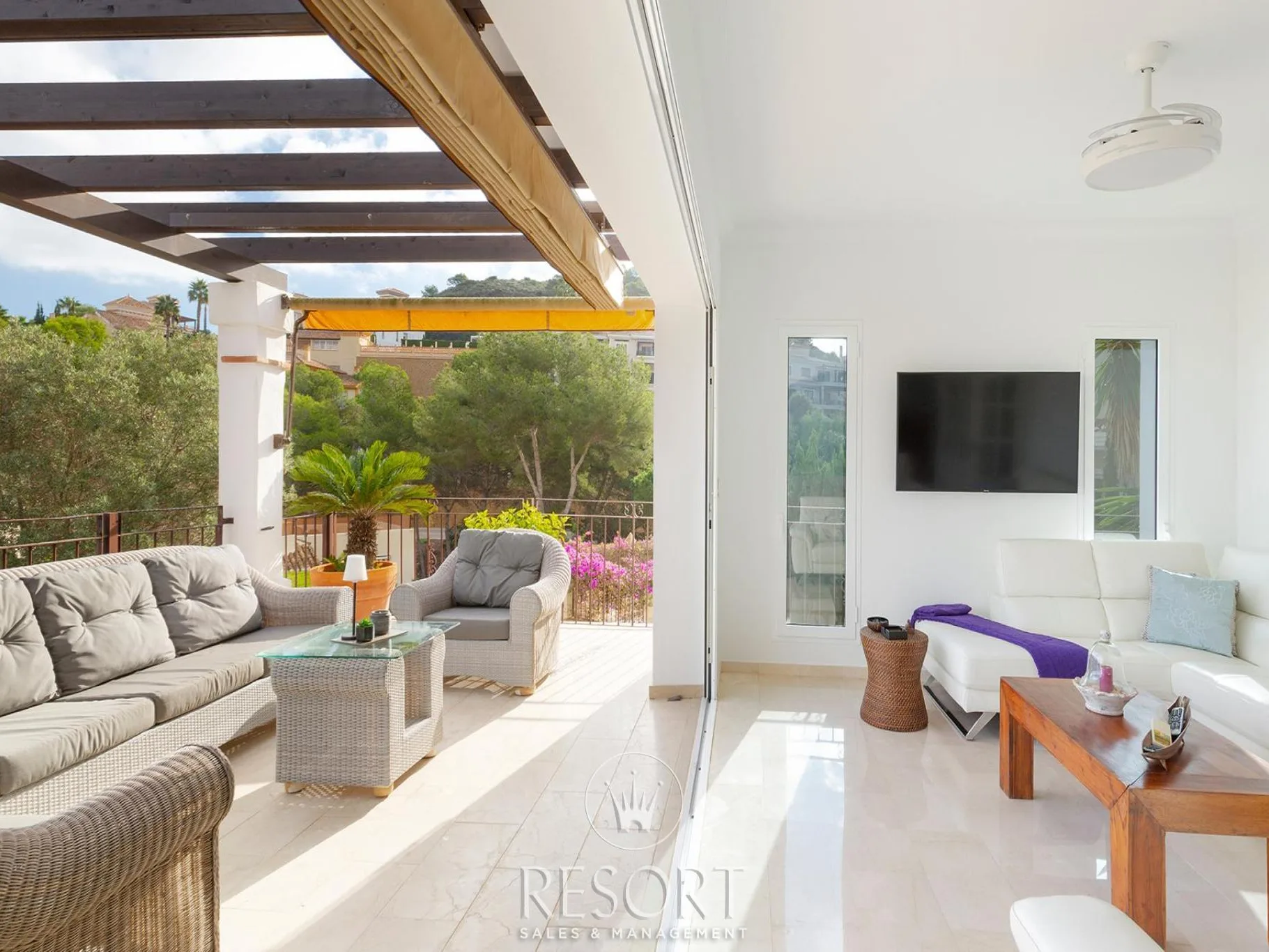 Monte mares 2 for sale 69087cf0f1bfb